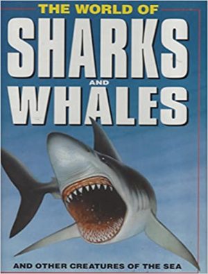 Know The World of Sharks and Whales