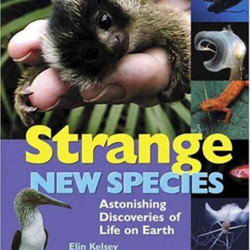 124 Strange New species