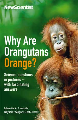 New Scientist - Why Are Orangutans Orange?