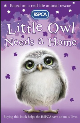 Little Owl needs a home