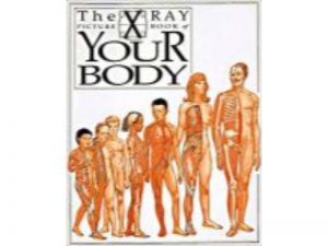 The X-ray Picture Book of your Body