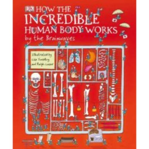 How The Incredible Human Body works