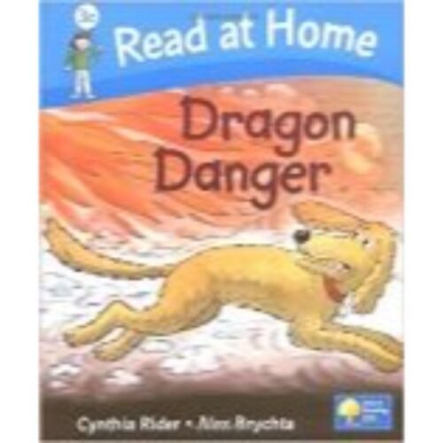4739 (3c)Read at Home - Dragon Danger