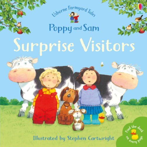 5679 Usborne Farmyard Tales - Surprise Visitors