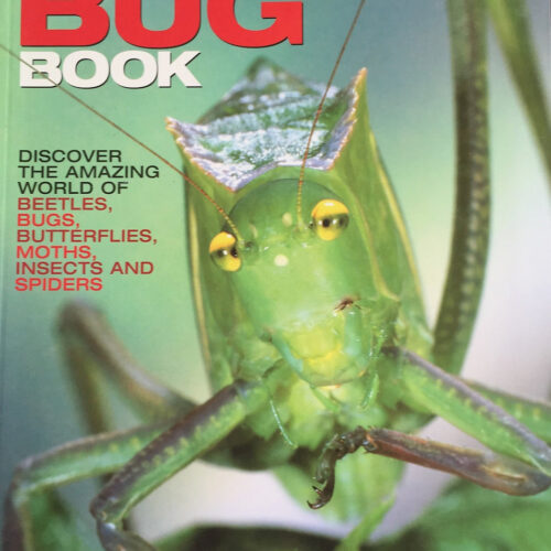 5688 The Big Bug Book