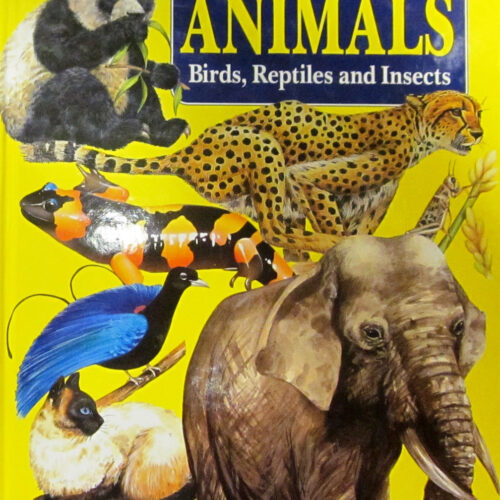 5689 Know the World of Animals: Birds, Reptiles and Insects