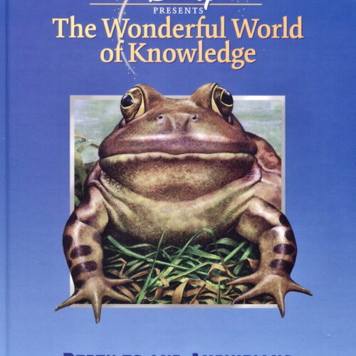 5729 The Wonderful World of Knowledge-Reptiles and Amphibians