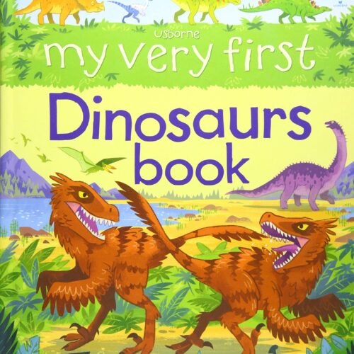 My Very First Dinosaurs book