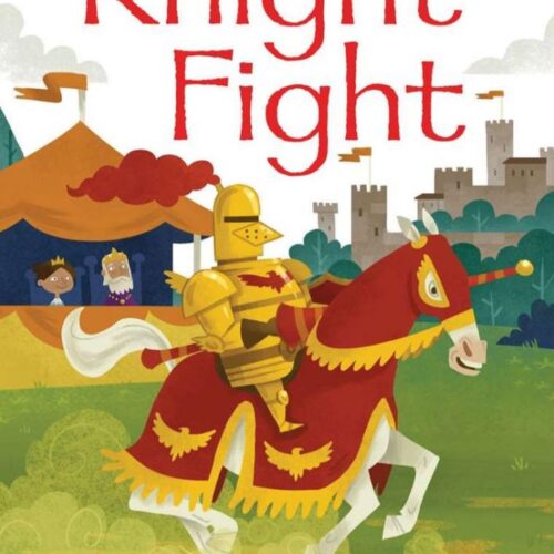 6260 Usborne very First Reading-Knight Flight