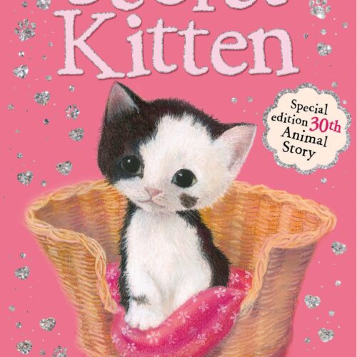 6534 The Secret Kitten