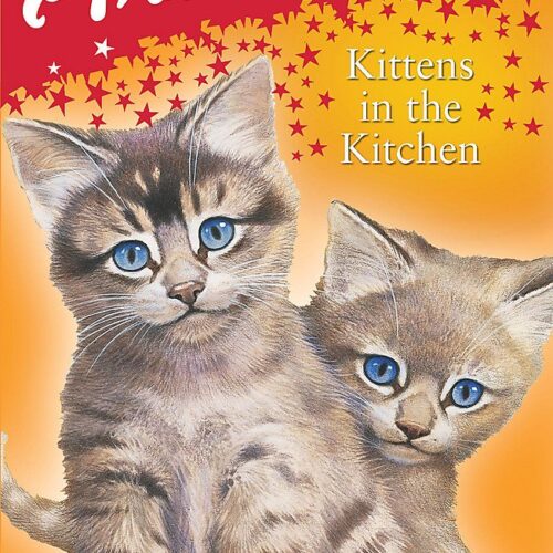 Kittens In The Kitchen