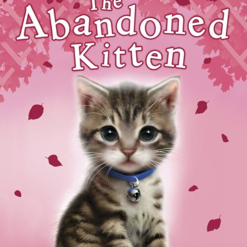 The Abandoned Kitten