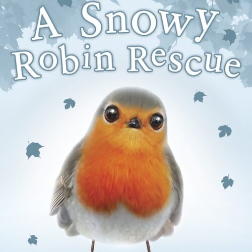 A Snowy Robin Rescue