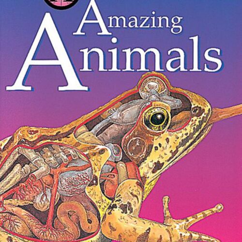 6875.jpg The X ray Picture Book of Amazing Animals