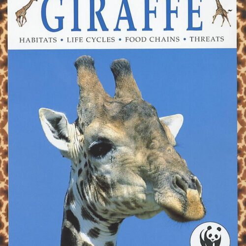 Natural World - Girraffe