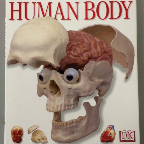 6962.jpg Inside Guides : Human Body