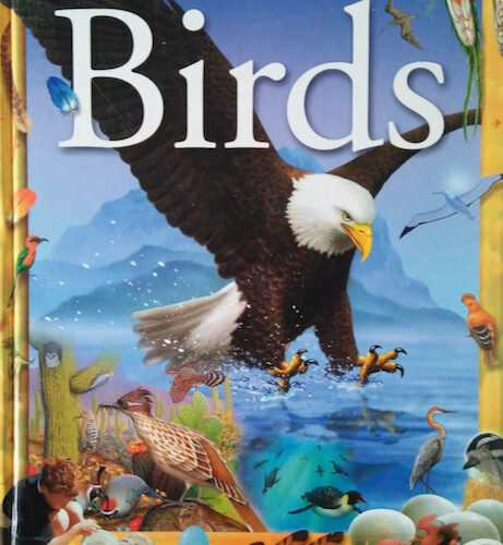 6909 The Readers Digest of Children Book of Birds