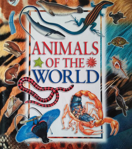 7084 Animals of the World