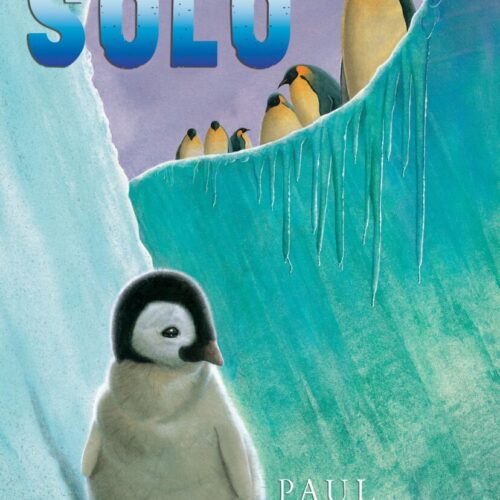 7901.jpg Solo