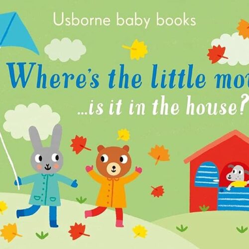 Usborne Baby Book - Where's The Little Mouse?