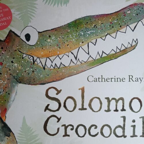8260.jpg Solomon Crocodile
