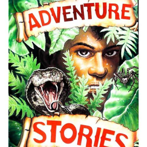 Adventure Stories