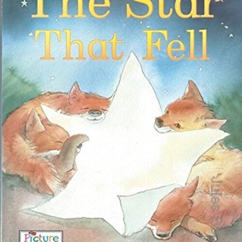 8490 Ladybird Pictures Stories - The Star That Fell