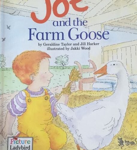 8491 Ladybird Pictures Stories - Joe & The Farm Goose