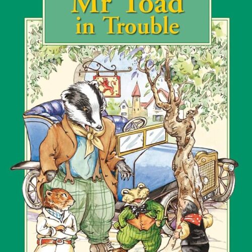 8549 The Wind In The Willow Collection - Toad In Trouble