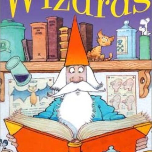 (Young Reading) Wizards