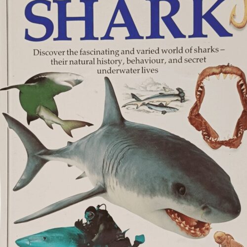 10013 Wonders Of Learning Discover Sharks