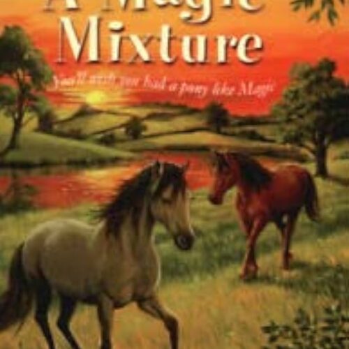 9147 A Pony Called Magic - A Magic Mixture