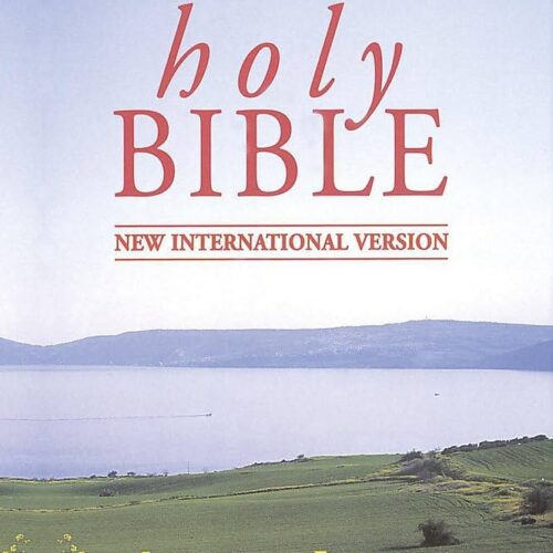 Holy Bible - NIV (Illustrated Edition)