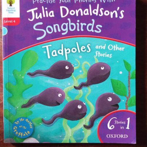 Songbirds Phonics (Stage 4) Practice Your Phonics with Julia Donaldson (6 Stories In 1)